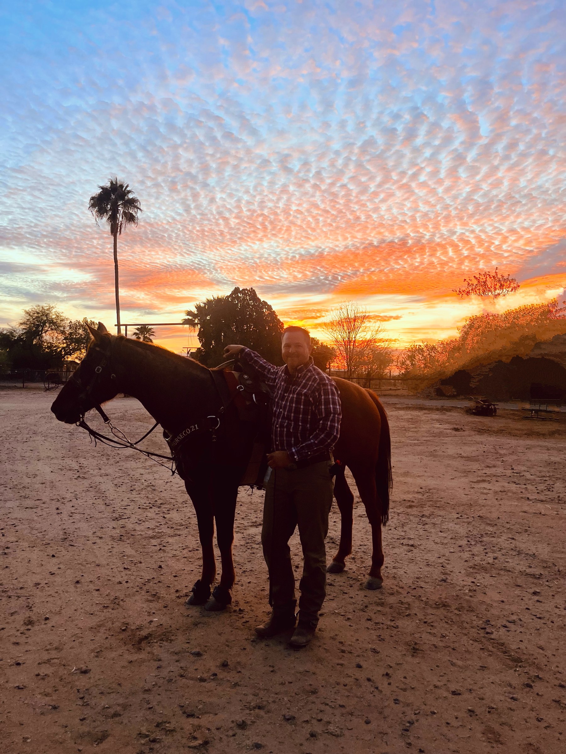 Powell Parker with horses at Arizona sunset